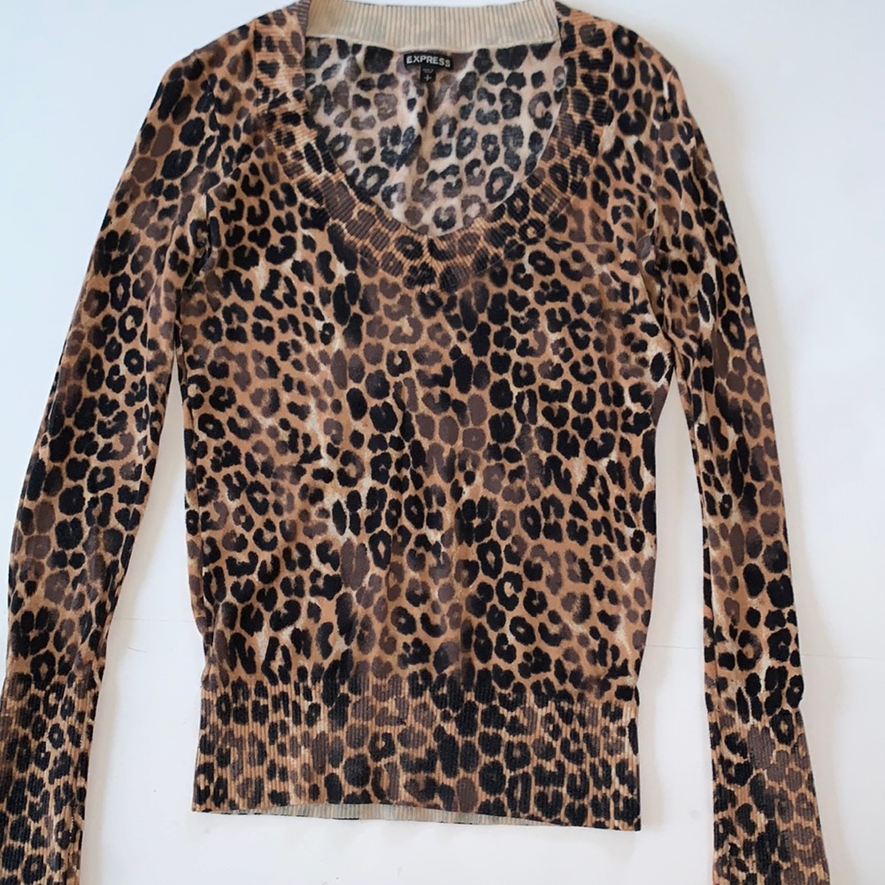 Express Leopard Print Lightweight V-Neck Long Sleeves Sweater Size S/P